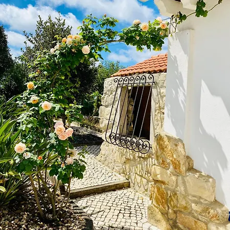 Veleiro Do Moby - 10 Min. From The Beach Holiday home *